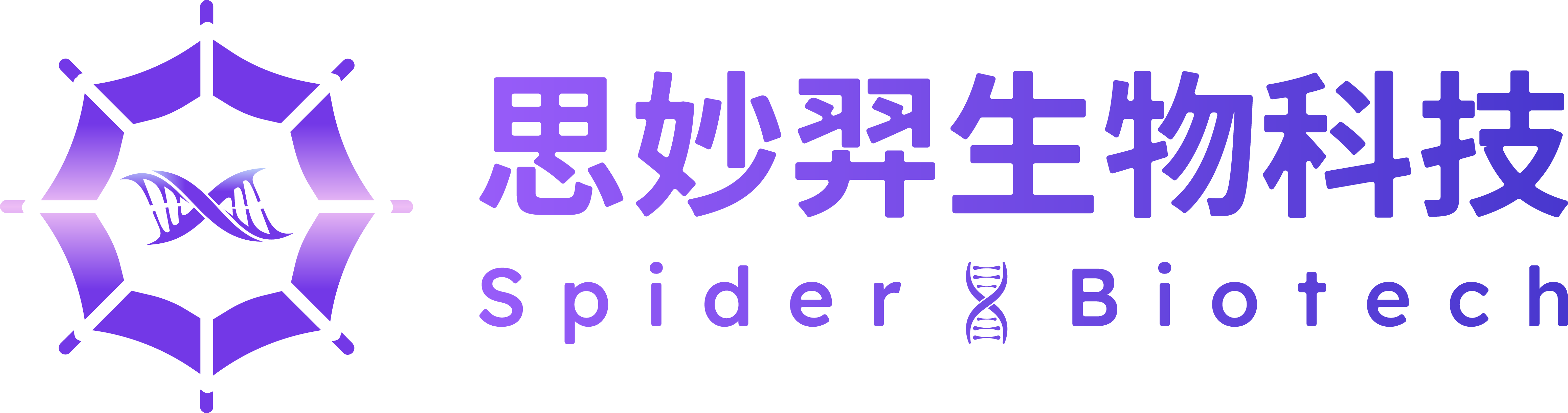 Spider X Logo