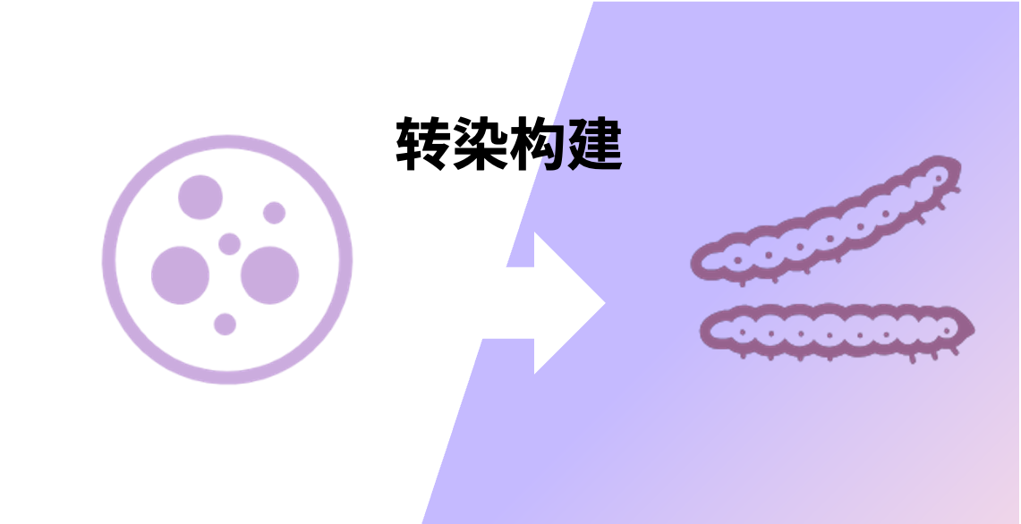 生物反应器2