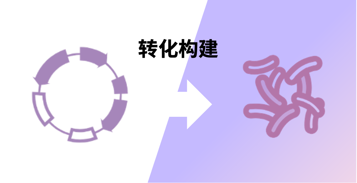 发酵工程2
